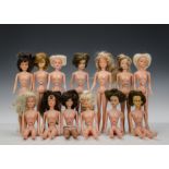 Fifteen naked Palitoy Tressy dolls: various hair colours (playwear, some discoloured, a couple