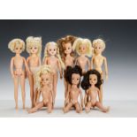 Nine naked Sindy dolls 1970 and 80s: two brunettes, one auburn and the others blonde