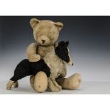 A nice quality 1920s teddy bear, with dark beige mohair, pronounced muzzle with brown stitched nose,