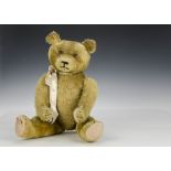 A 1930s German teddy bear, with golden mohair, orange and black glass eyes, pronounced muzzle, black