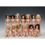 Sixteen naked Palitoy Tressy dolls: various hair colours (playwear, some discoloured and a few