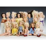 Fifteen Sindy dolls 1970s and 80s: three brunette, one auburn and eleven blonde, one brunette with