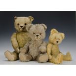 A Diem teddy bear 1950s, with golden synthetic plush, glass eyes, inset short mohair muzzle and