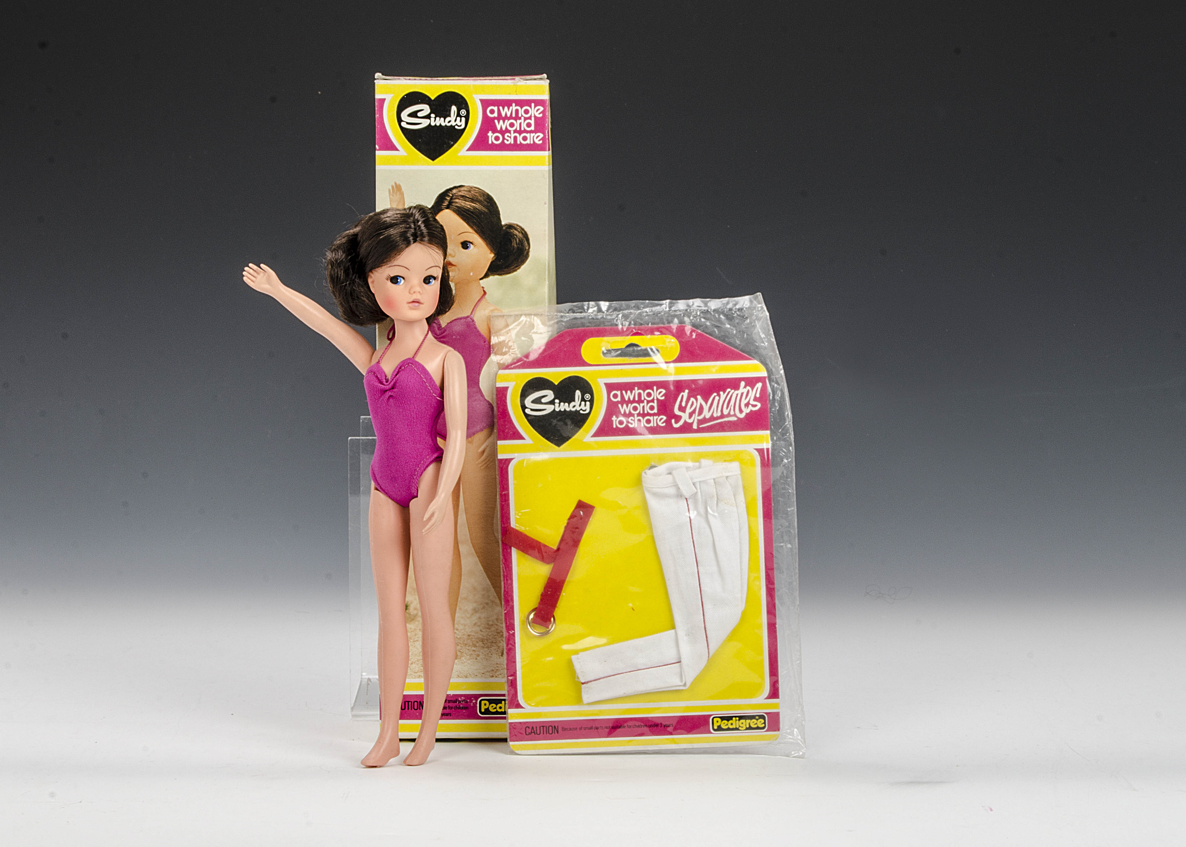 A Pedigree Summertime Fun Sindy, with brunette hair and cerise swimsuit, in original box; and a