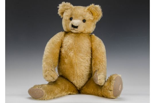 A Rare Large Peacock Teddy Bear 1930s With Golden Mohair Orange And Black Glass Eyes Pronounce