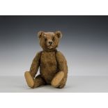 A rare early Steiff brown mohair teddy bear, circa 1910, with black boot button eyes, pronounced