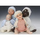 Various dolls: an Armand Marseille 341 baby on replaced stuffed body - 16in. (40.5cm.) high, a