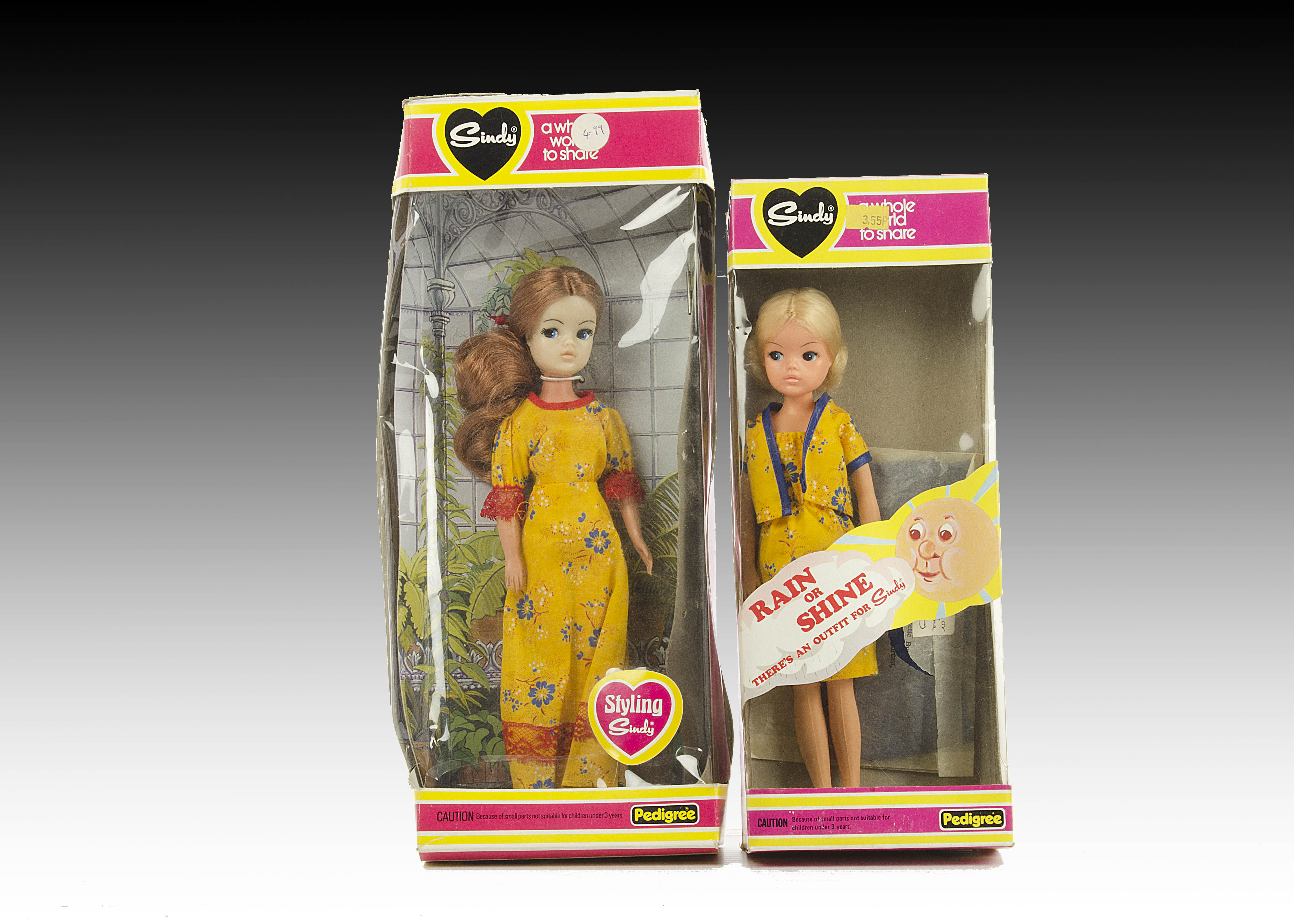 A Pedigree Sindy Rain or Shine, 1982, No.44708, with blonde hair and two outfits, in original box (