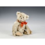 A rare and unusual Steiff brown-tipped white mohair teddy bear, 1920s, with clear and black glass