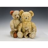 Two teddy bears and a Steiff tiger: a golden mohair bear, possibly French with clear and black glass