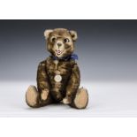 A rare Gebruder Sussenguth Peter Teddy Bear with brown tipped mohair, composition head with flirting