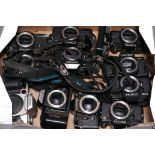 Contax Camera Bodies: a variety of models including RTS, 139 and 137 and more (1 tray)