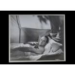 Film Stills and PR Images - Actors: Bob Hope (14), Rock Hudson (16), transparencies - 10 x 8 (11)