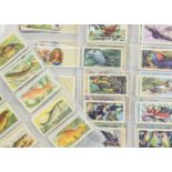 Trade Cards, Brooke Bond and Typhoo, sets to include Freshwater Fish, Tropical Birds, Interesting