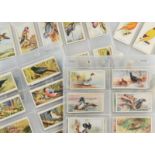 Cigarette Cards, Birds, a selection of sets to include Gallaher's British Birds, Player's Game Birds