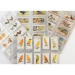 Cigarette Cards, Birds, a selection of sets by Player's to include Poultry, Wild Birds, Game Birds