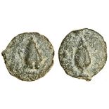 Apulia, Luceria (c.225-217 BC), AE cast Uncia, 22.33g, frog, rev. ear of corn, pellet on left (Vecc