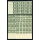 New Zealand Mount Cook Half Penny 1901 Thick, Soft, "Pirie" Paper with Vertical Mesh, Perforation 1
