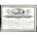 Vitrite & Luminoid Company (New York) 1886. 100 shares. No.18. Large light bulb at the center. Issu