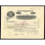 Lake Placid Company (New York) 1911. 10 shares. No.251. New York State seal. Signed by Melvil Dewey