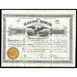 Baldy Sour Mining Company (New York) 1878. Treasure Hill, Nevada. 100 shares. No.2. Gold embossed s