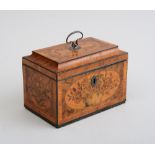 FINE INLAID SATINWOOD ELM TEA CADDY The hinged top with silver drop handle, within oval fruit and