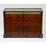 WILLIAM IV MAHOGANY COLLECTOR'S CABINET The hinged glazed top case above ten graduating drawers,