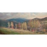 WARREN FRANCIS SNOW (1869-1946): MT. TECUMSEH, PEMIGIWASSET VALLEY Oil on paperboard, signed 'W.F