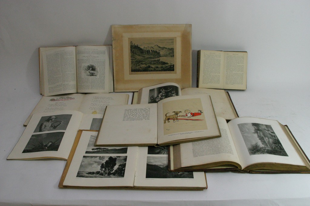 A collection of books including 'The dog who wasn'