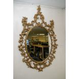 A large and impressive gilt wood Chippendale mirror, the oval plate surrounded by scrolled foilate