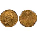 † William III, half guinea, 1701, laur. bust r., rev. crowned cruciform shields, sceptres in angles