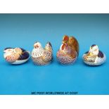 Four Royal Crown Derby paperweights, a duck, a chicken, a cockerel and a quail,