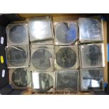 A collection of Magic Lantern slides of zoo animals scenes showing animals in cages including lions,