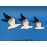 A set of three Beswick seagull graduated wall plaques
