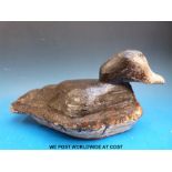 A carved wooden decoy duck, length 37 cm.