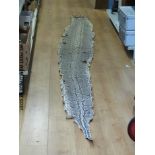 A taxidermy interest snakeskin believed to be 18ft long