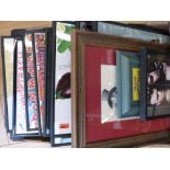 A collection of framed and glazed LP album covers.