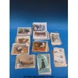 A small collection of animal-related postcards, some stamped,