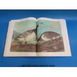The Imperial Collection of Audubon Animals together with John James Audubon,