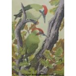 John Tennent signed print 'Green Woodpeckers' (42 x 29cm)