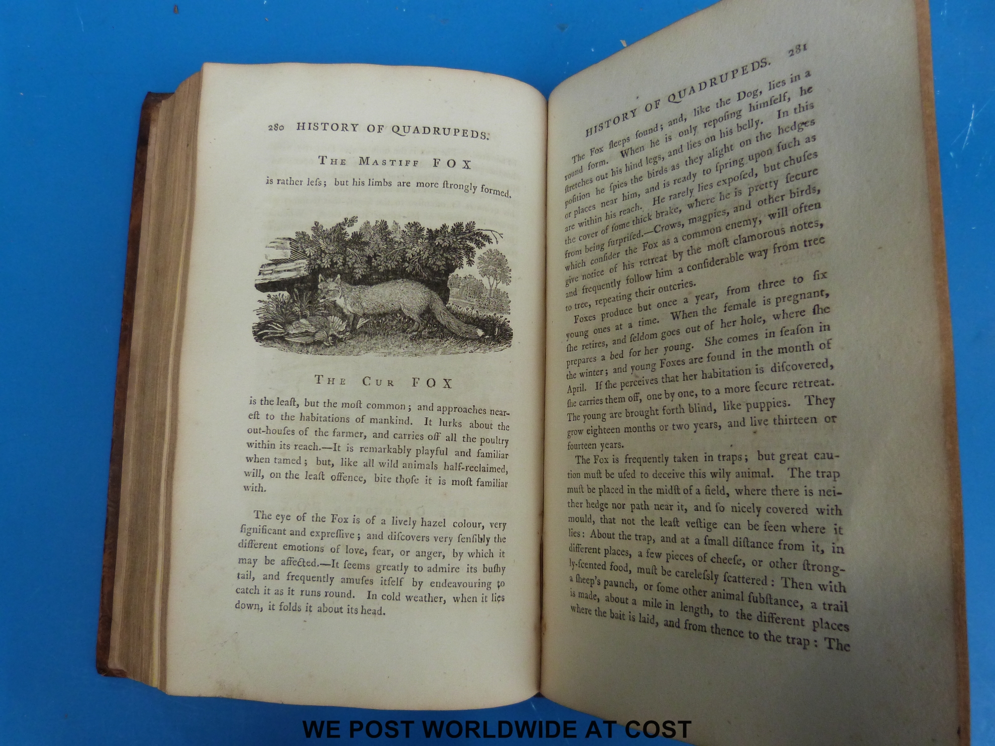 Thomas Bewick, History of Quadrupeds (Newcastle-upon-Tyne, Hodgson & Beilby, 1792) third edition, - Image 3 of 3