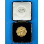 A cased 9ct gold Central Veterinary Society London 1914 - 1918 Victory medal awarded to H.D.