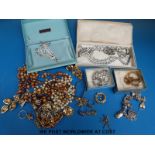 A silver charm bracelet and a small collection of costume jewellery