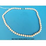 A single strand pearl necklace with 14ct gold clasp