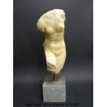 A plaster torso on a square base (height 49cm)