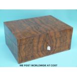 A 19thC burr walnut collectors box with flush campaign style handles to ends,