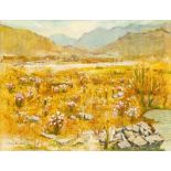 Irmin Henkel Arid Landscape with Spring Flowers signed and dated 70 oil on canvas 70,5 by 90cm