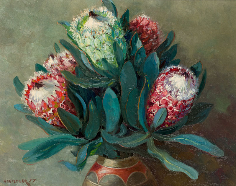 Willem Hermanus Coetzer Proteas signed and dated 57 oil on canvas laid down on board 38,5 by 48,5cm