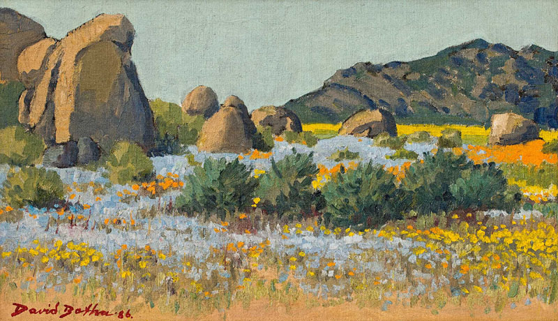 David Johannes Botha Namaqualand in Spring signed and dated 86 oil on canvas laid down on board 29