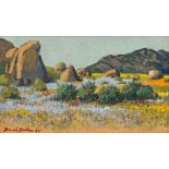 David Johannes Botha Namaqualand in Spring signed and dated 86 oil on canvas laid down on board 29